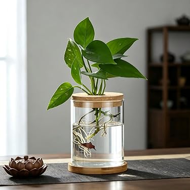 Amazon.com New Releases: The best-selling new & future releases in